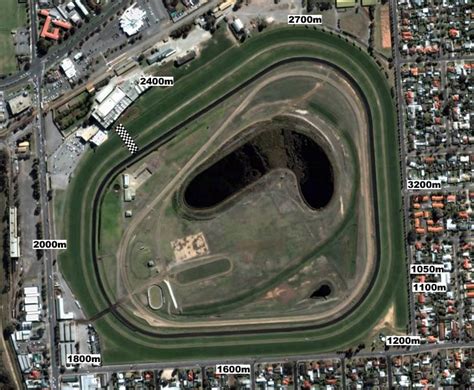 Morphettville Parks Form Guide (Race 5) .